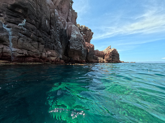 On Board Baja-拉巴斯必去景点