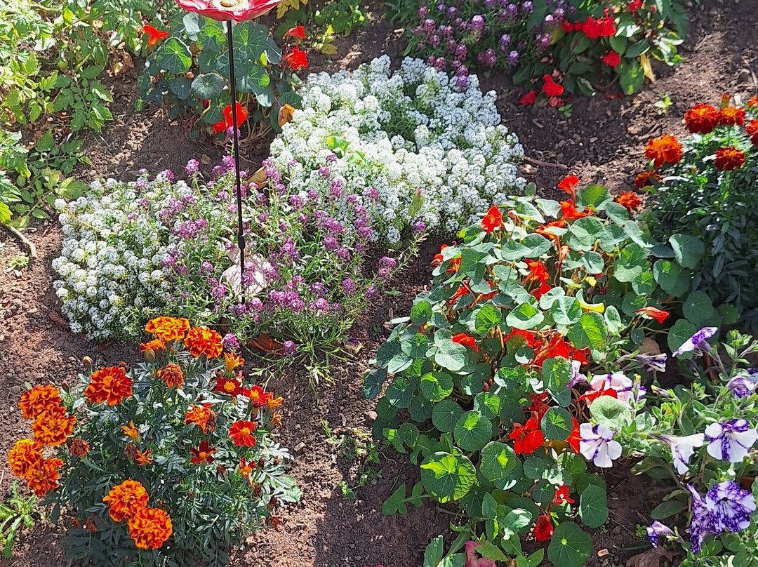 Backworth Hall-Backworth必去景点