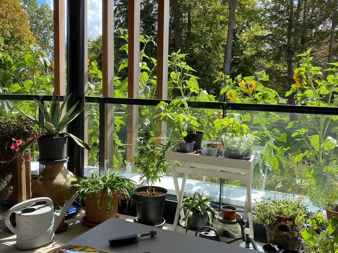 De Spitkeet-Harkema必去景点