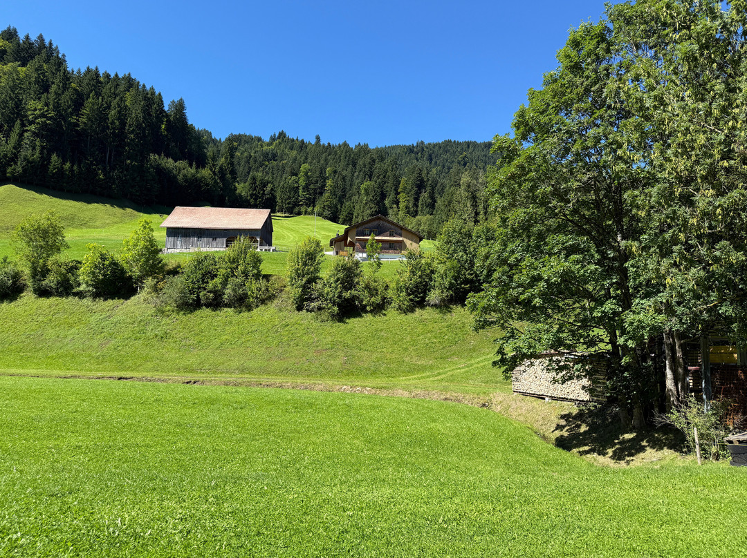 Erwin Tours of Switzerland-苏黎世必去景点