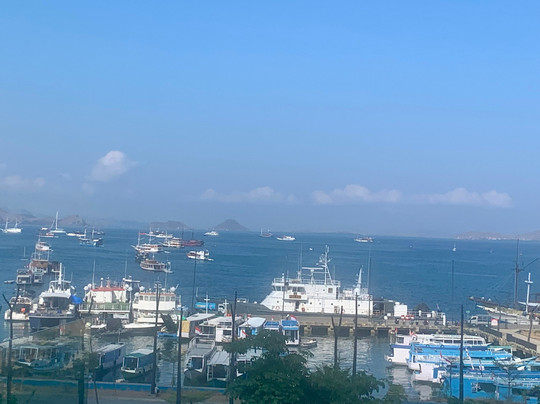 Labuan Bajo-科莫多必去景点