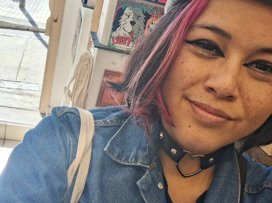 Galeria Artkinson-瓦尔帕莱索必去景点