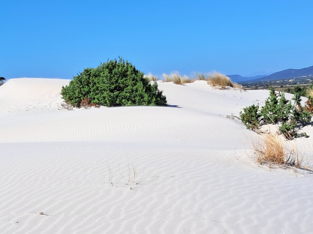 Spiaggia Is Arenas Biancas-Teulada必去景点