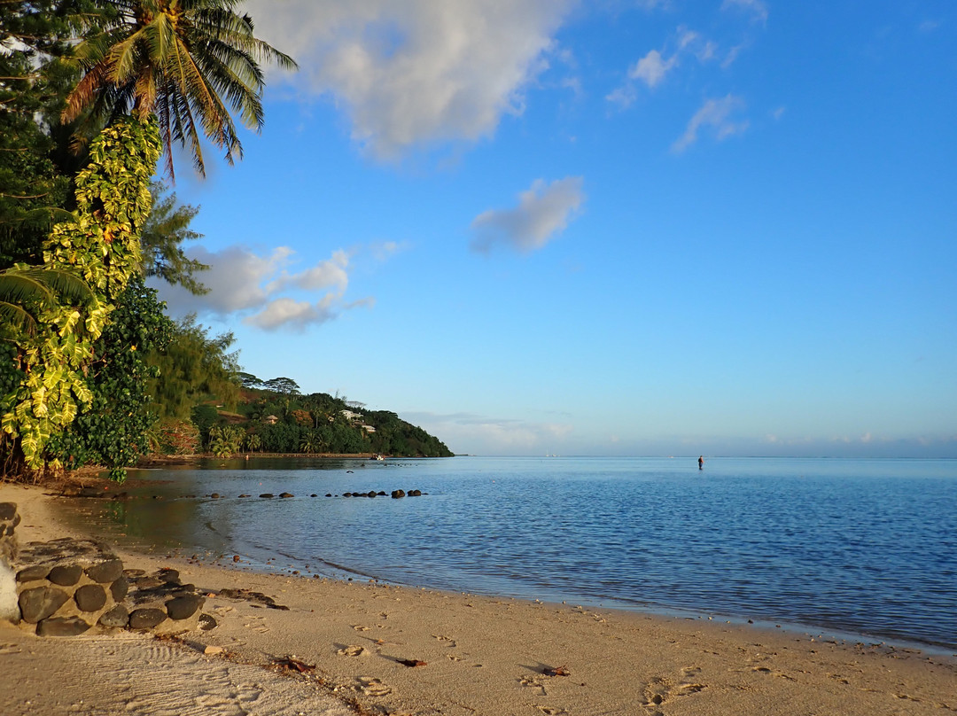 莫雷阿岛里那威海滩度假酒店主图