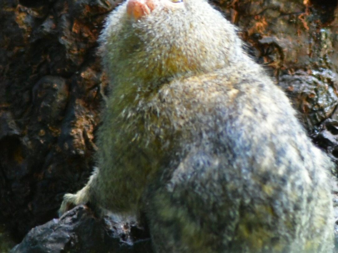 Fundación Maikuchiga-Loreto Mocagua必去景点