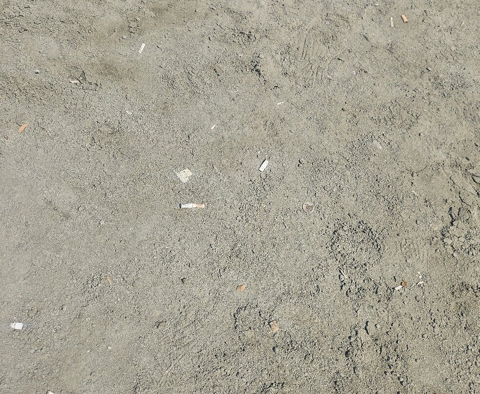 Finikoudes Beach-拉纳加必去景点