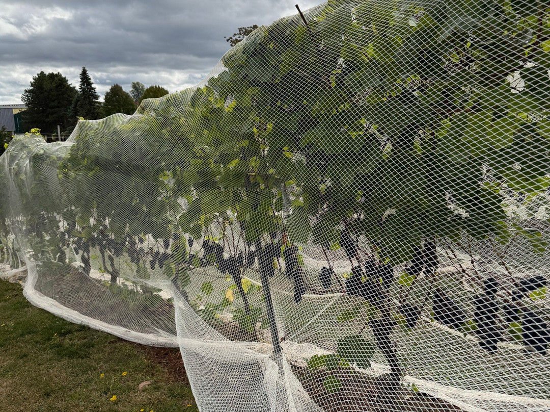 Grand Pre Wines-Wolfville必去景点