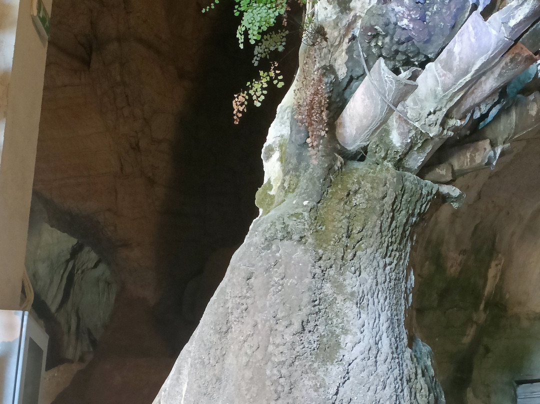 Grotta del Santuario di San Michele Arcangelo-Sant'Angelo a Fasanella必去景点
