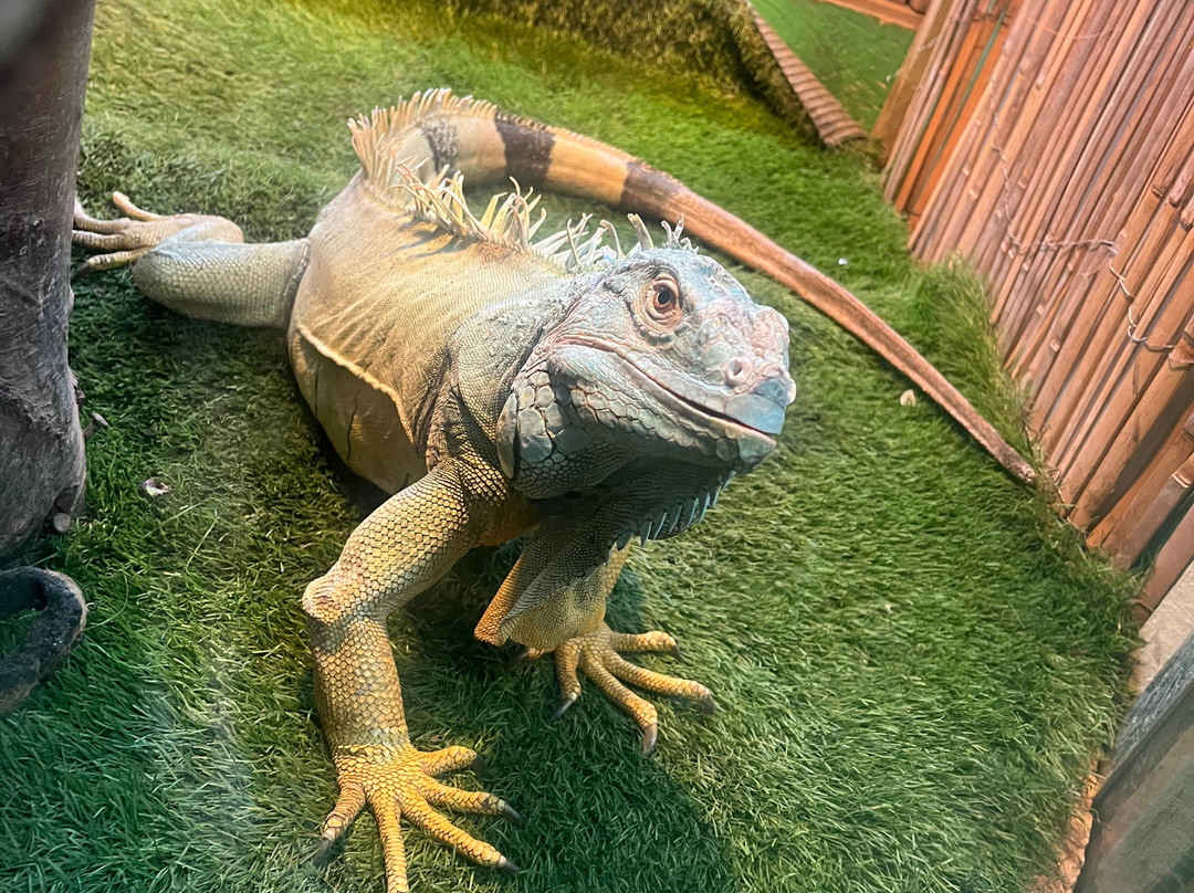 Windmill Animal Farm-Burscough必去景点