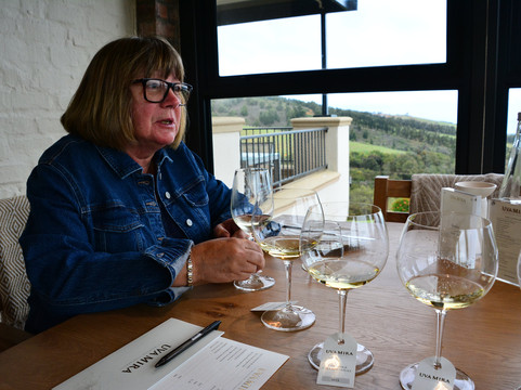 Travel with Andre-斯泰伦博斯必去景点