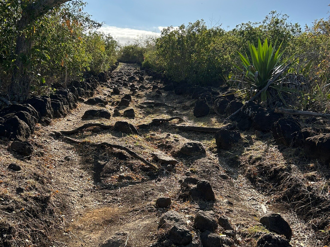 Le Chemin des Anglais-La Possession必去景点