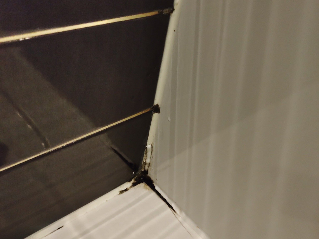 Holiday Inn Express Strasbourg - Sud By IHG主图