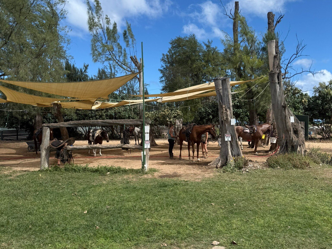 Hawaii Polo Club-瓦亚禄必去景点