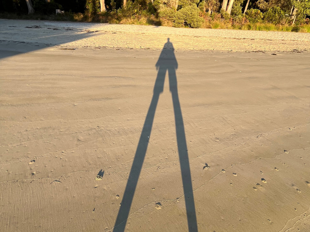 Stewarts Bay-亚瑟港必去景点