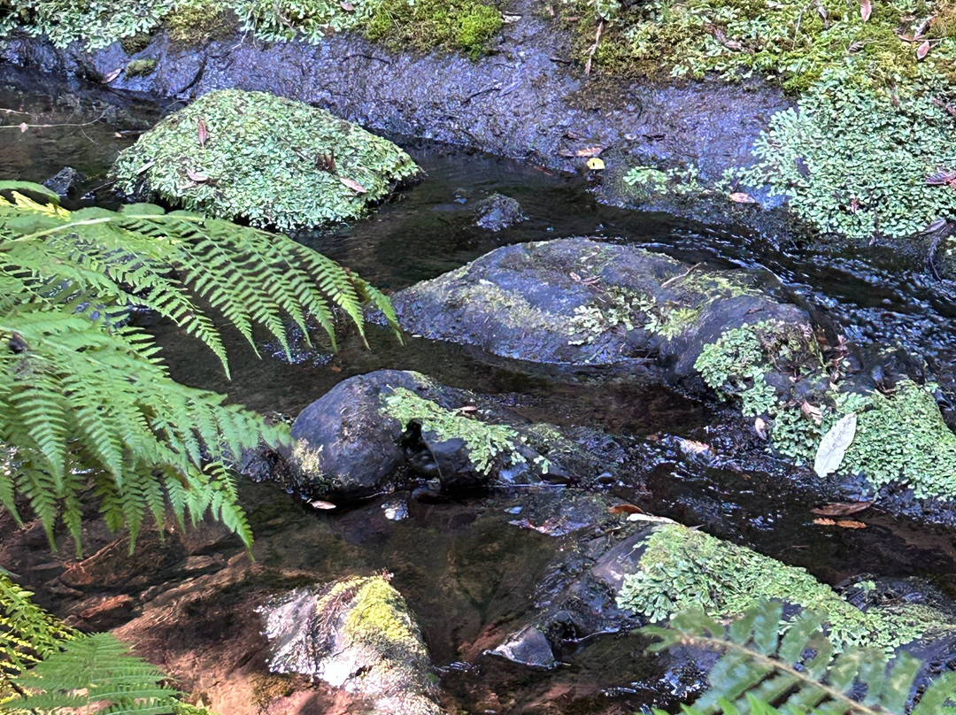 Van Damme State Park-Little River必去景点
