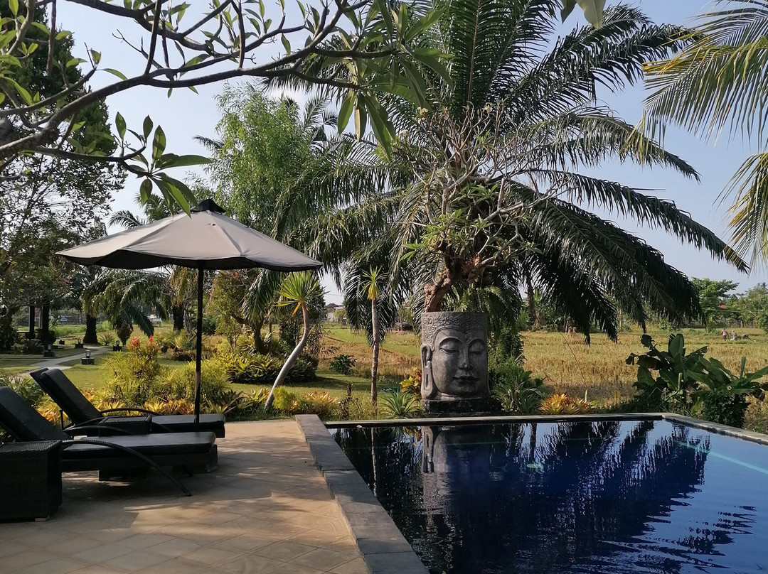 帕达瓦假日公园主图