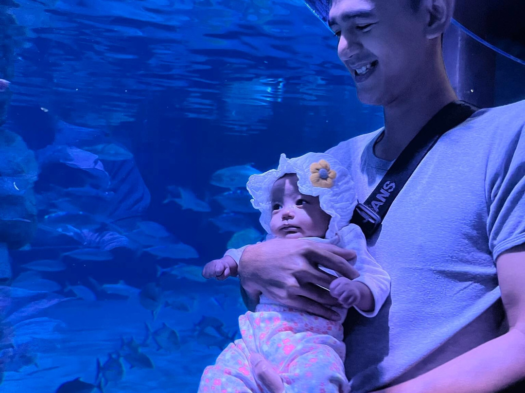 Aquaria Phuket Thailand-普吉镇必去景点