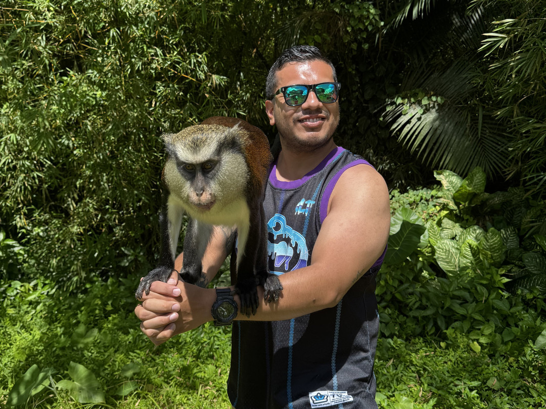 Sun Hunters-Saint George Parish必去景点