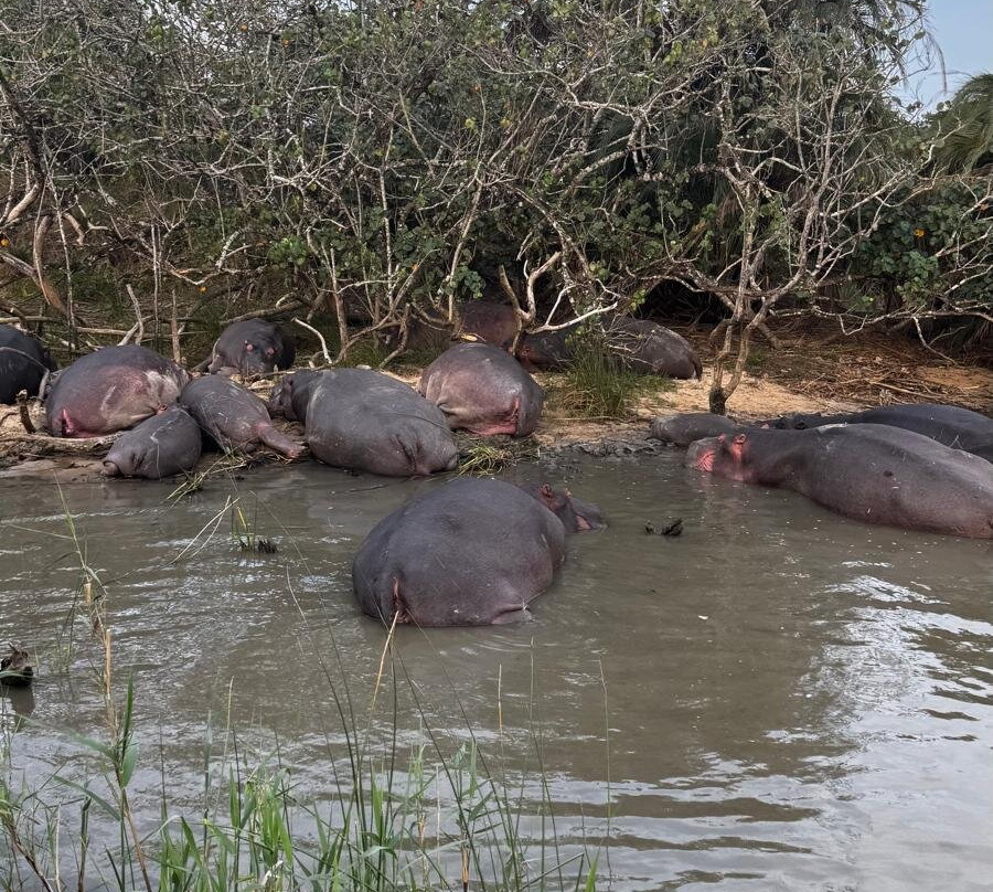 Endless Summer Tours-德班必去景点