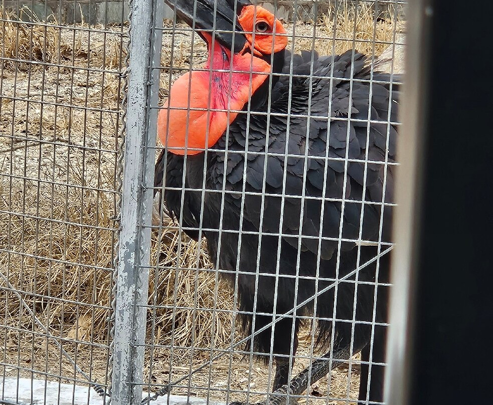 Hoedspruit Endangered Species Centre-霍德斯普鲁特必去景点