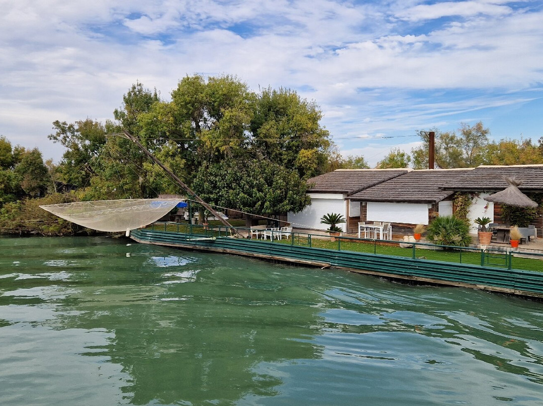 Bateau de Promenade le Camargue-滨海圣玛丽必去景点