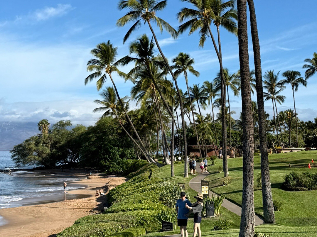 瓦雷阿购物中心-维雷亚必去景点