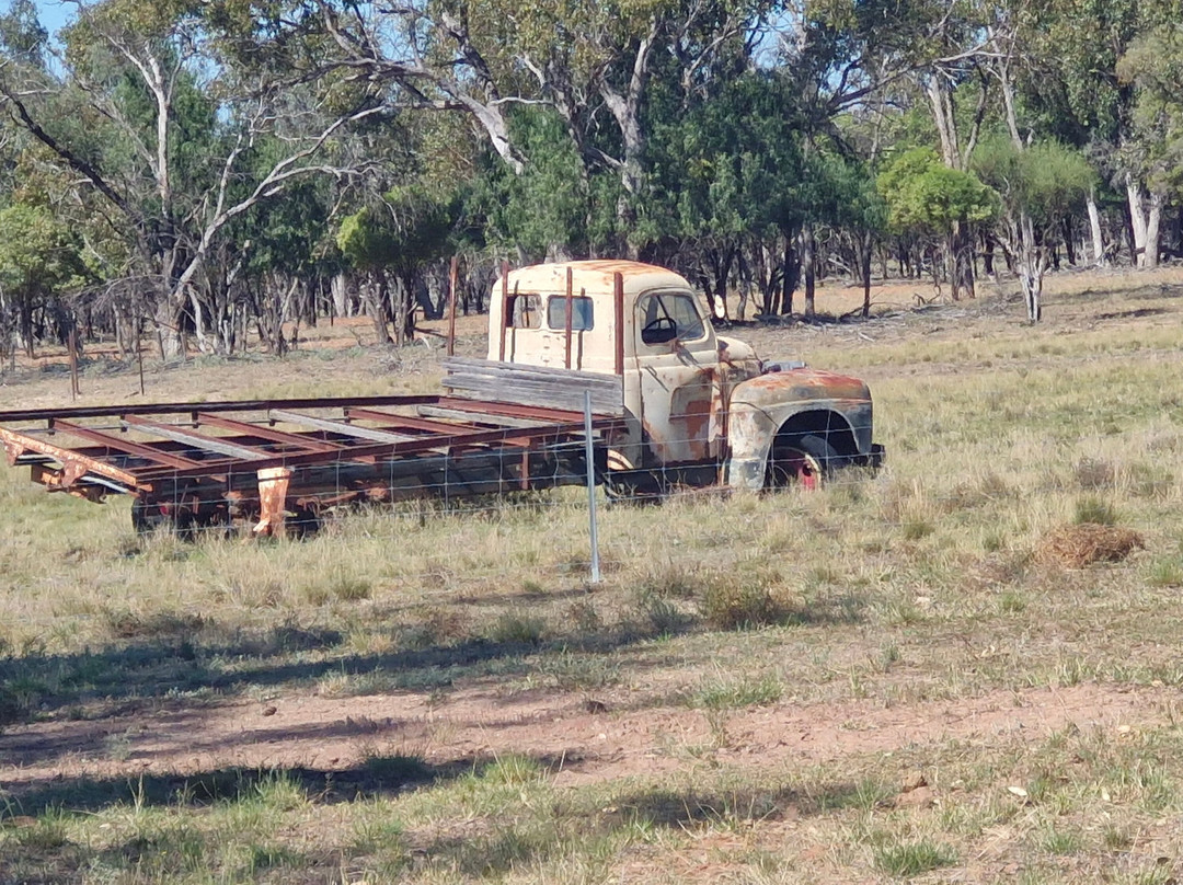 Carinya Station Farm Stay-Lightning Ridge必去景点