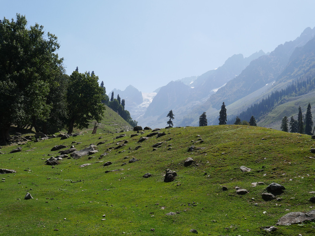 Driver Cum Guide-Sonamarg必去景点