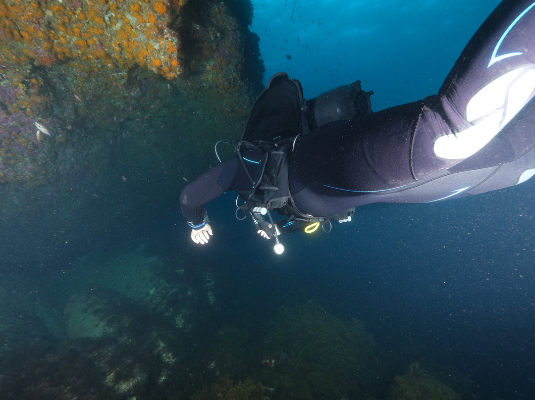 Chems Diving-费尼迪克必去景点