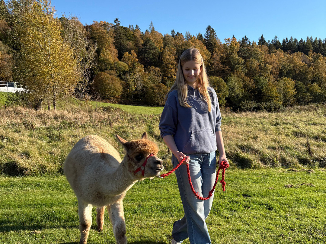Action Glen At Crieff Hydro-Crieff必去景点