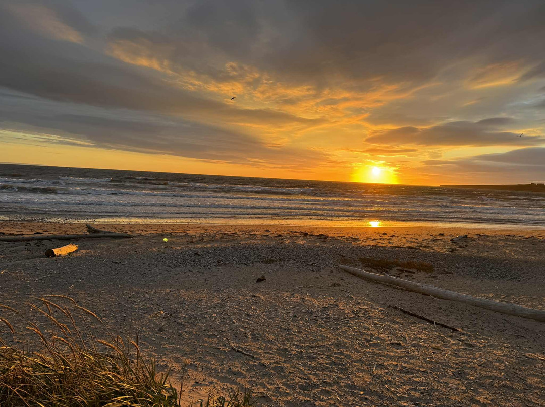 Down East Tours-哈利法克斯必去景点