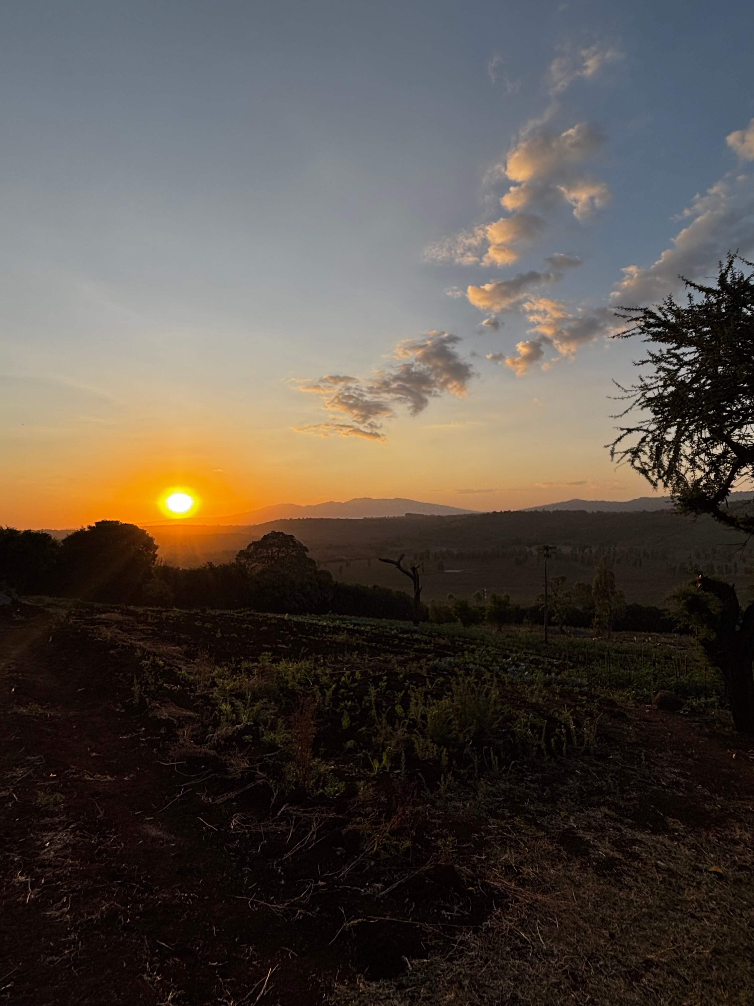 Highview Hotel-官方