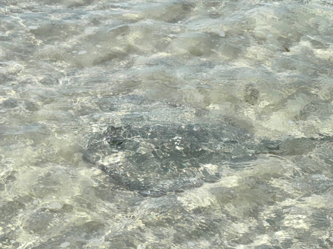 Lucayan National Park-大巴哈马岛必去景点