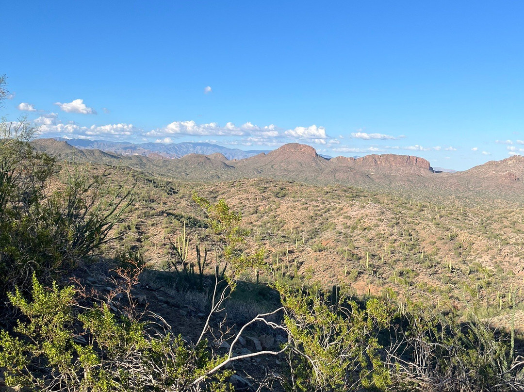 AZ ATV Adventures-Buckeye必去景点