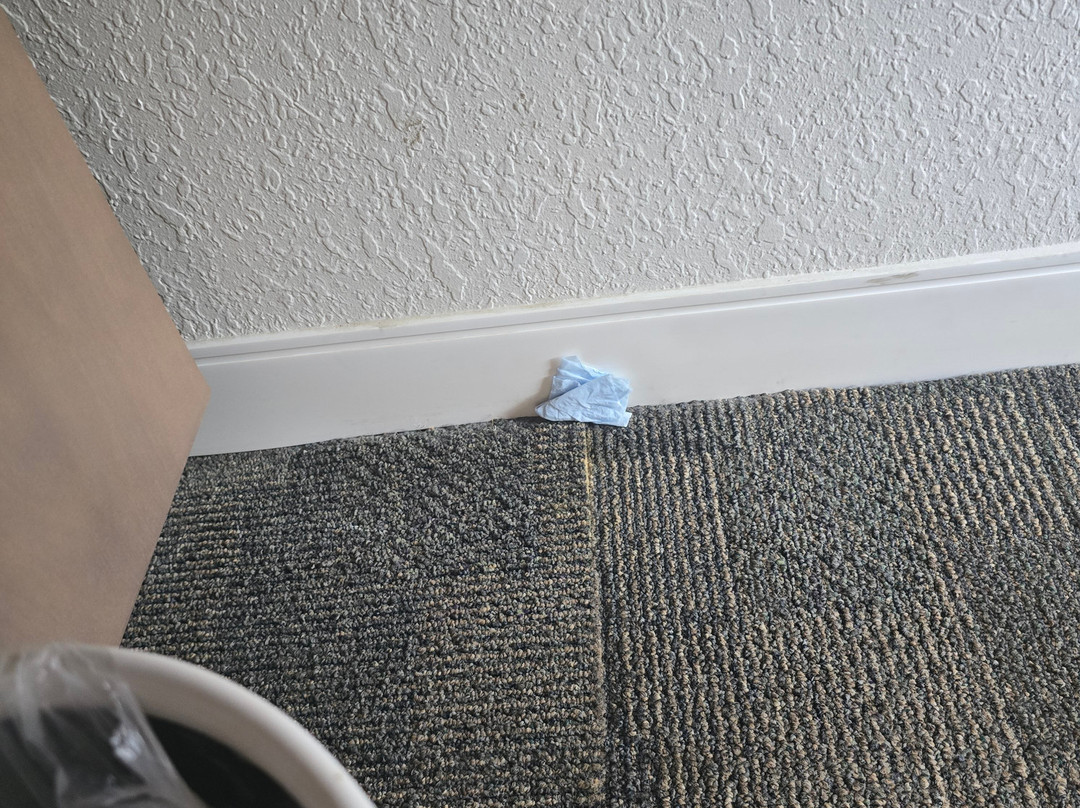 兰卡斯特希尔顿恒庭酒店主图