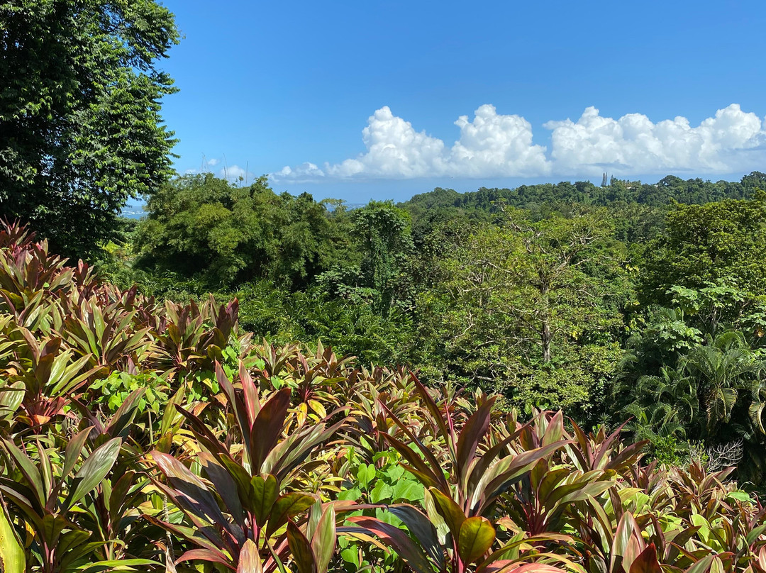 Jardin Botanique de Valombreuse-Petit-Bourg必去景点