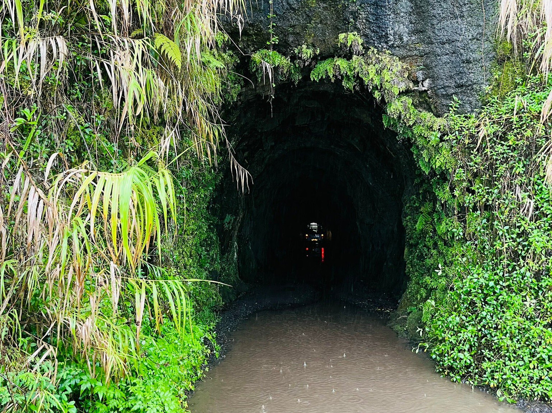 Ciao Tahiti Excursions 4x4 - Day Tours-普纳奥亚必去景点