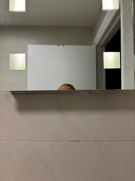 怀特女士酒店-官方