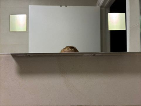 怀特女士酒店主图