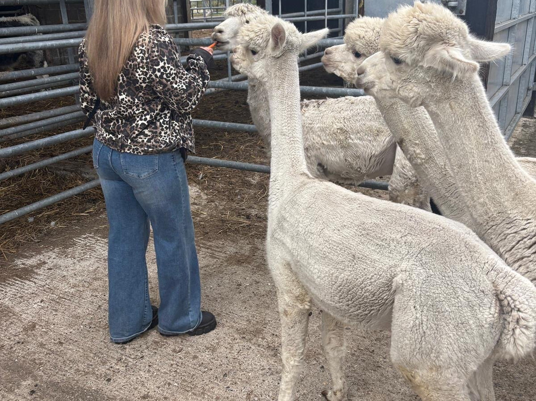 Botany Bay Farm-恩菲尔德必去景点