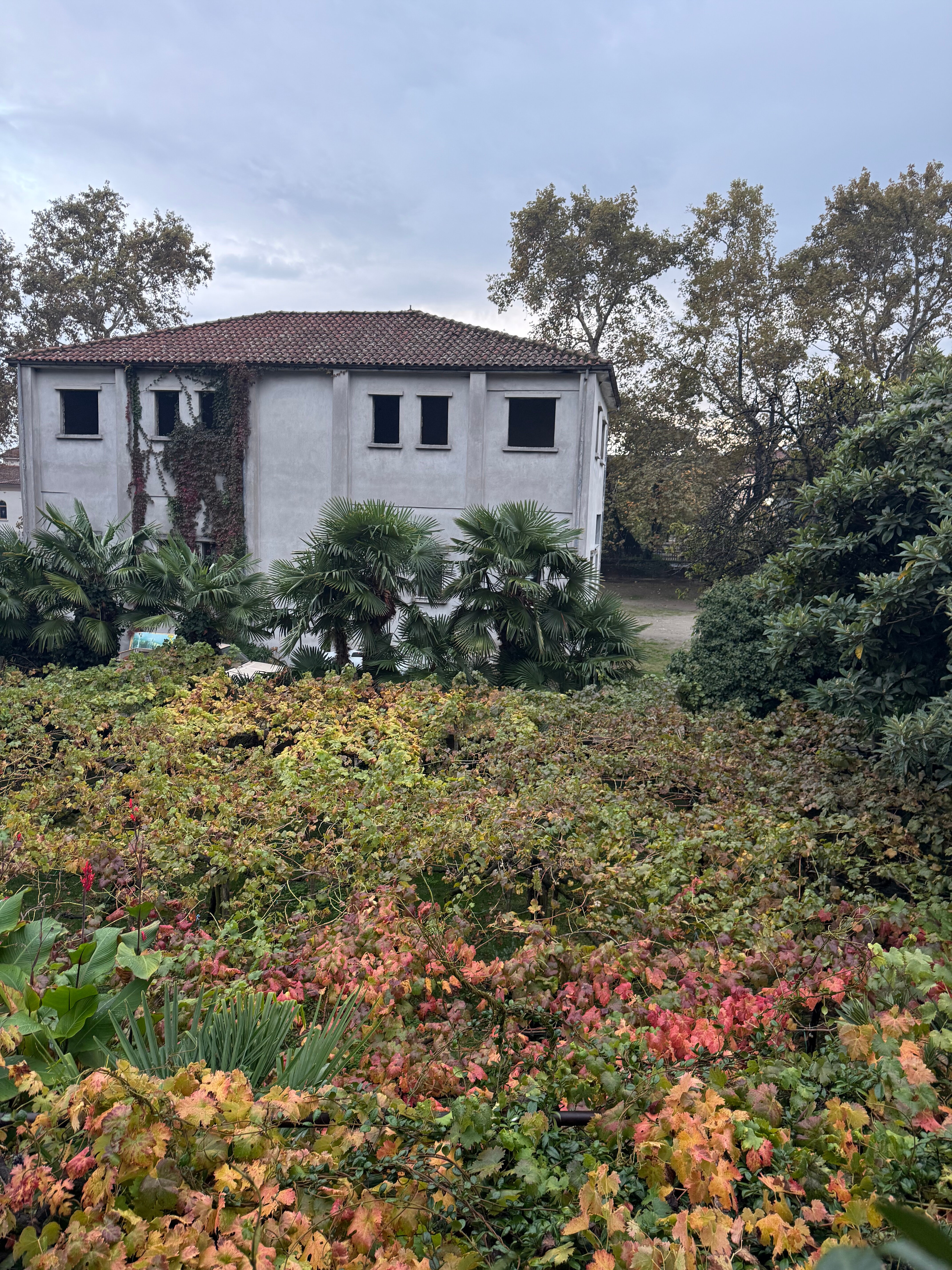 Pension Alexandros-官方