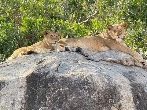 Soraya Experience-阿鲁沙必去景点