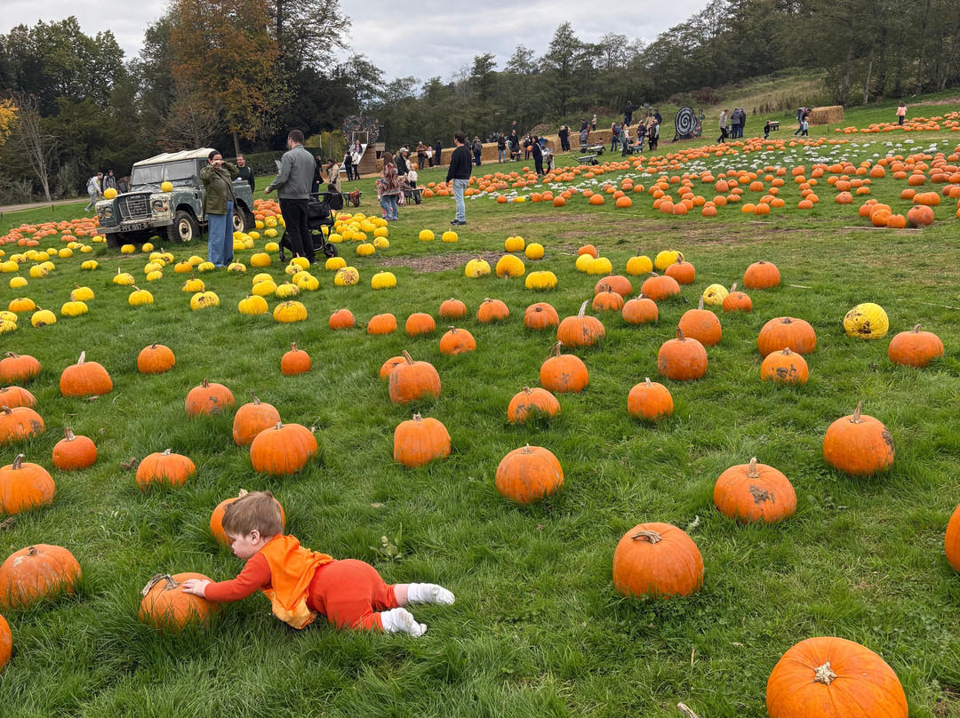 Discovery Land at Priory Farm-Nutfield必去景点