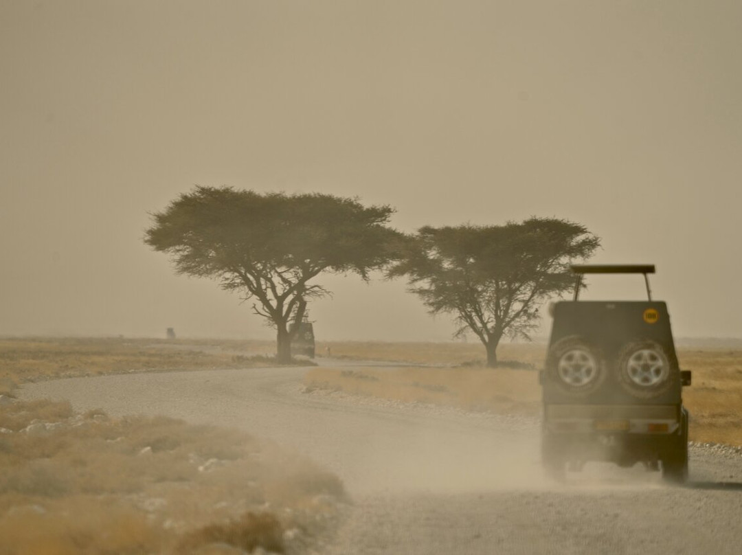 Namibia Tours & Safaris-斯瓦科普蒙德必去景点