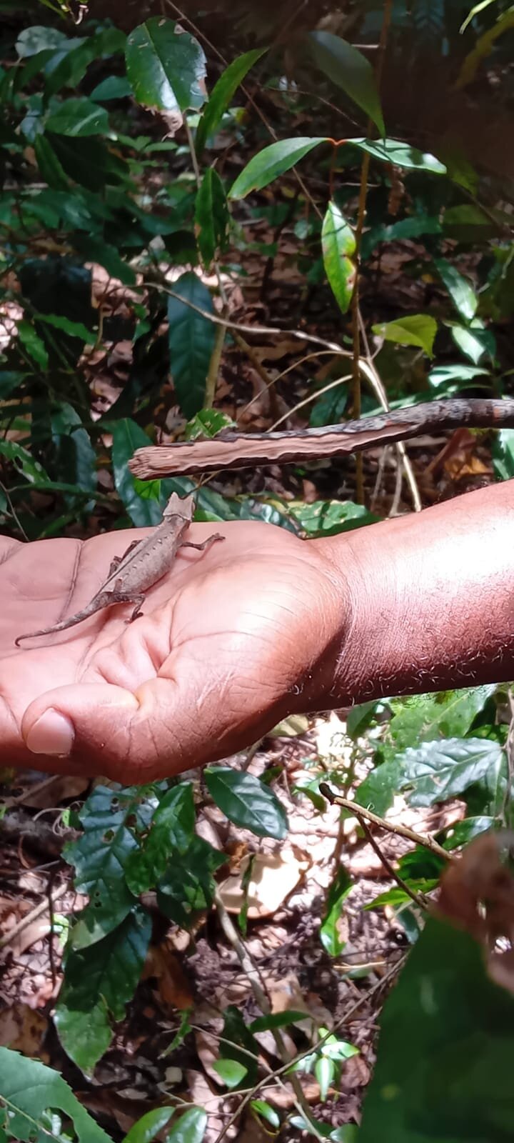 Andilana滨海度假村-浴室