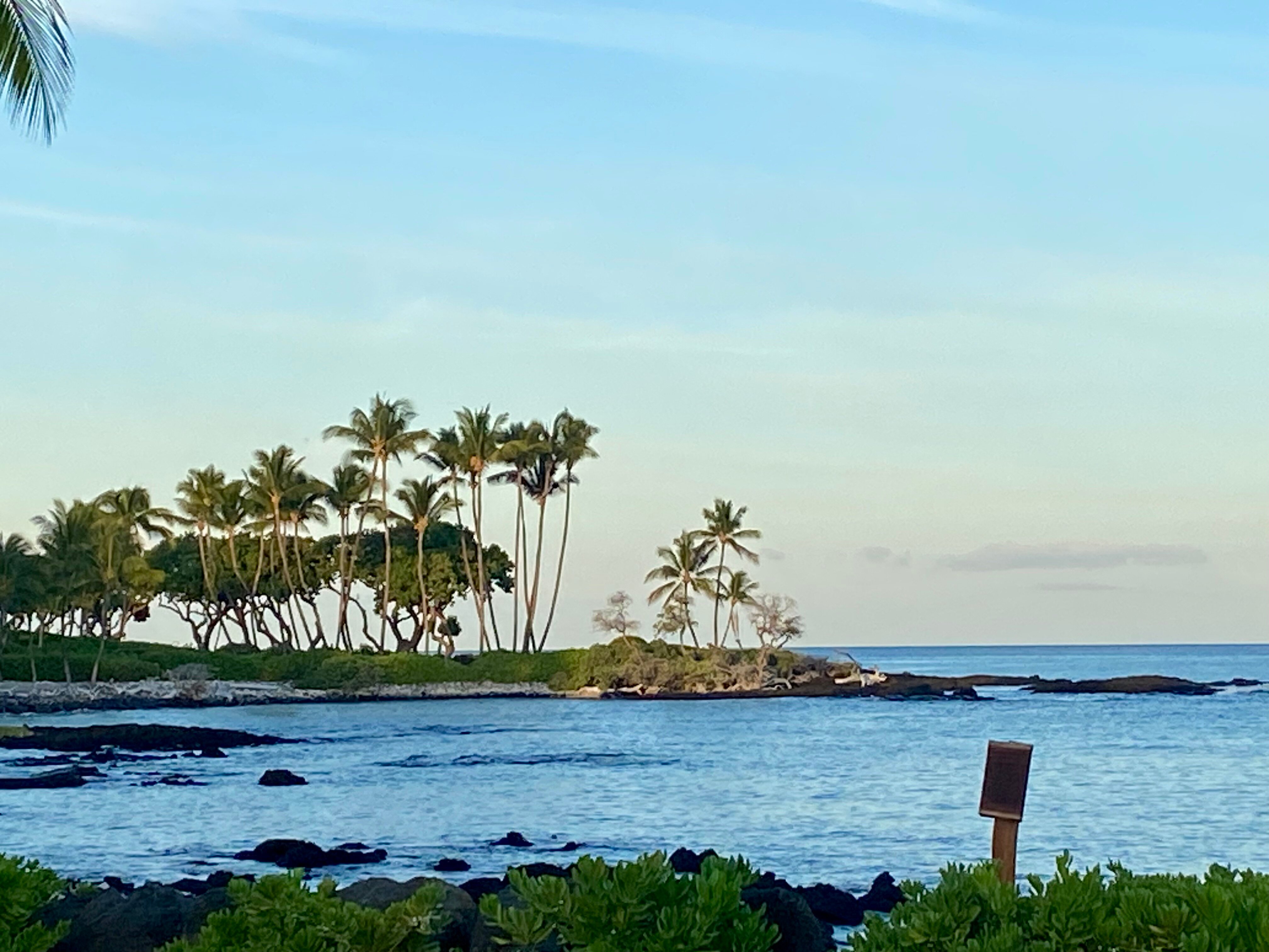 费尔蒙特兰花酒店,夏威夷-泳池
