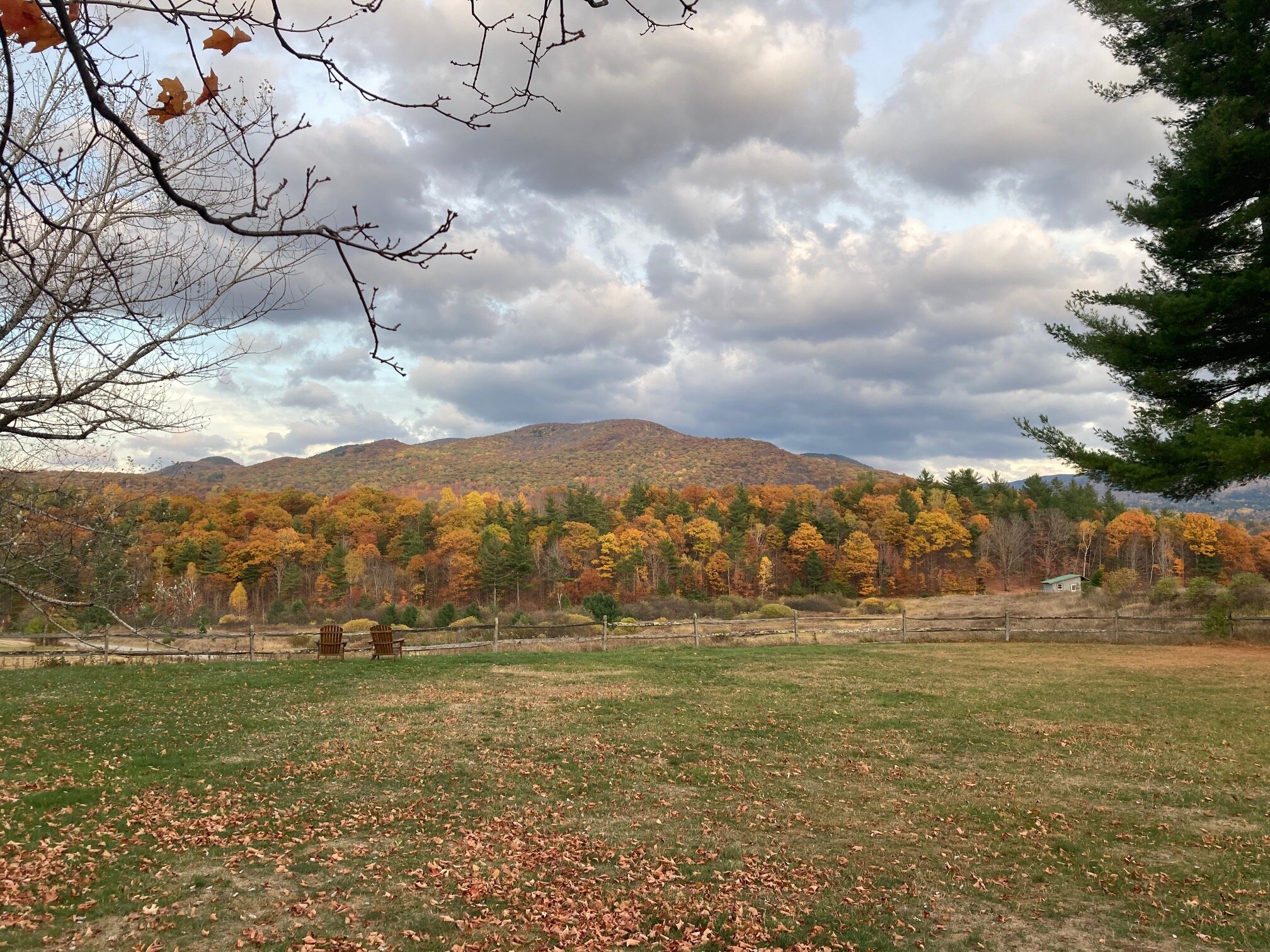 Bark Eater Inn-官方