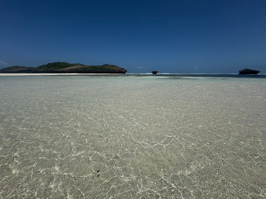 Kenya Safari Lion-瓦塔木必去景点