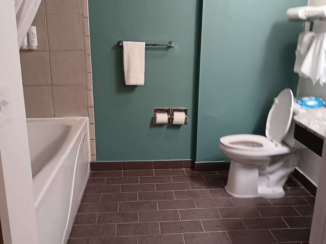 Sleep Inn Athens I-65主图