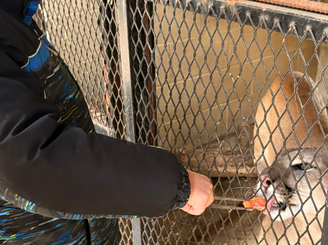 Wildlife Prairie Park-Hanna City必去景点